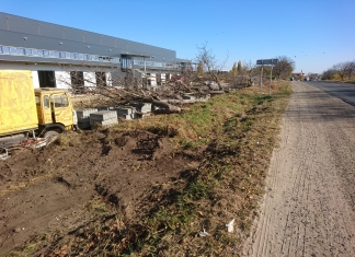 (RO) Circa 30 de arbori defrișați ilegal pe drumul R4 Goian – Criuleni – M1. ASD solicită autosesizarea organelor competente