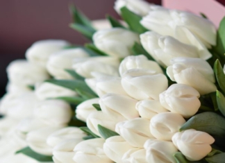 (RO) Mesaj de felicitare cu ocazia Zilei internaționale a femeii – 8 martie!