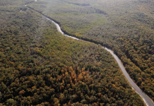 La mulți ani tuturor drumarilor din Republica Moldova!