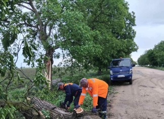 Circulație restabilită pe mai multe trasee naționale după căderi de arbori și crengi