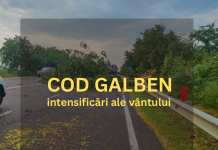 Cod galben de vânt: crengi și arbori pot cădea pe carosabil