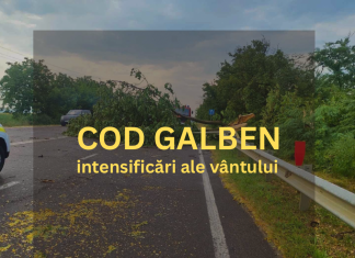 Cod galben de vânt: crengi și arbori pot cădea pe carosabil